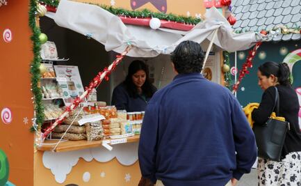 Gobierno de la Ciudad invita a visitar la Villa Artesanal Navideña 