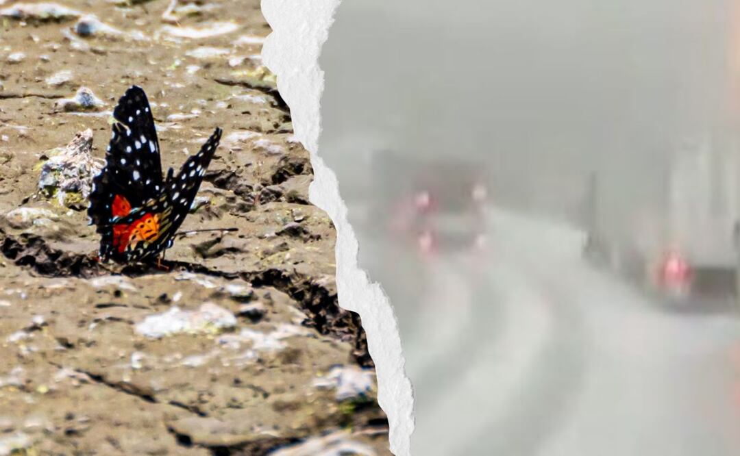 Calor sofocante e intensas granizadas en un mismo día en Puebla / Foto: EsImagen