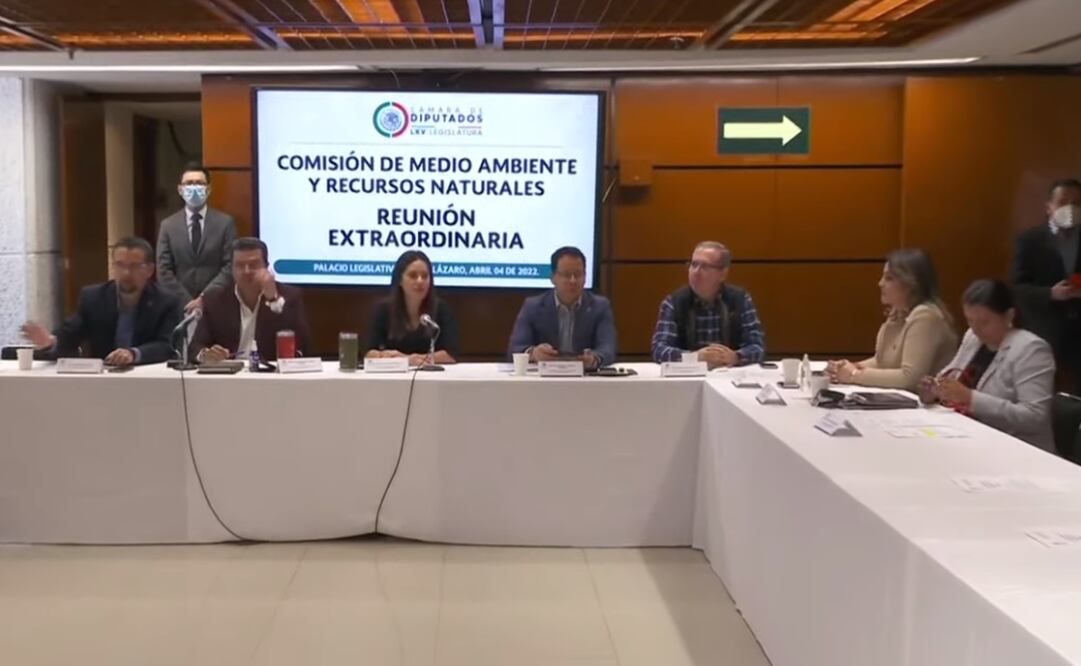 Foto: Captura de pantalla