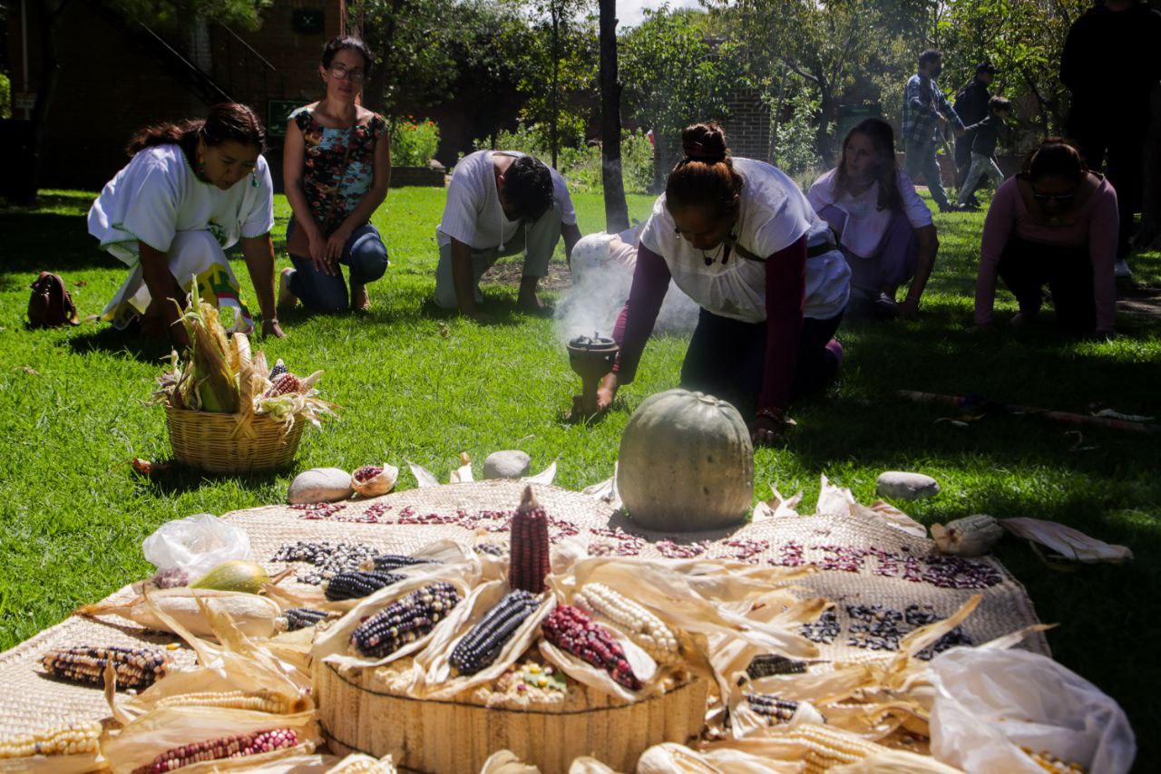 Un arqueólogo estadounidense hizo el descubrimiento | Foto: EsImagen