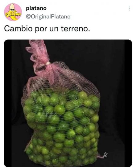 Precio del limón en Puebla va de 50 hasta 70 pesos el kilo