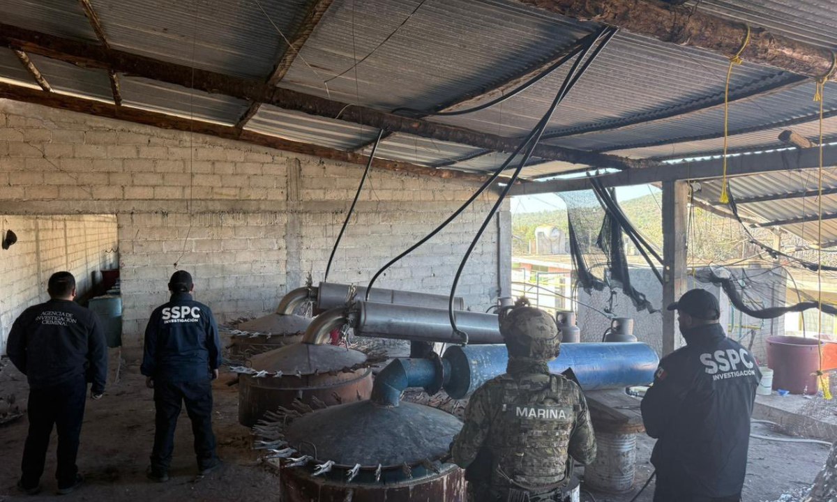 Se identificaron las colonias de la ciudad de Puebla donde el Cártel de Sinaloa fabricaba drogas / Foto: X Omar Garcia Harfuch