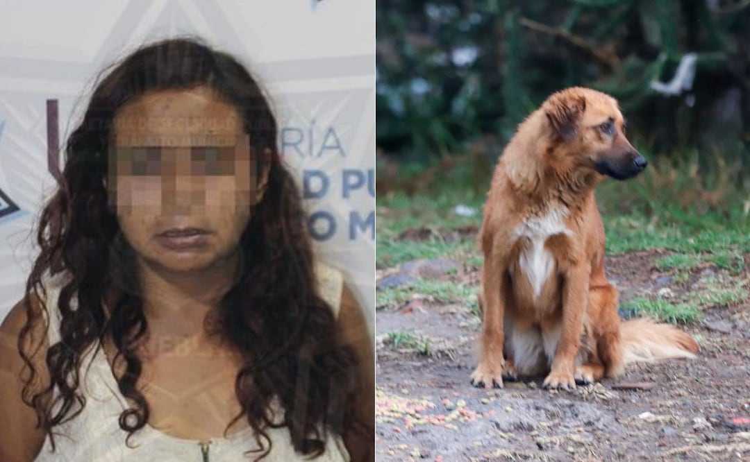 María Consuelo N., la “come perros”, fue detenida por maltrato animal | Foto: Especial