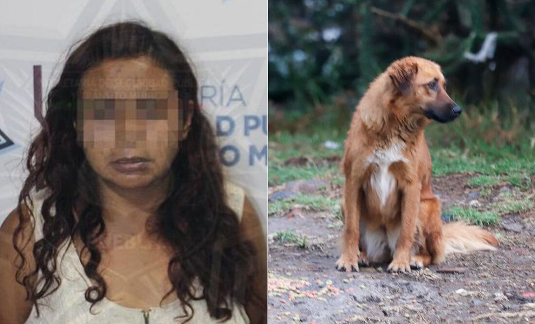 María Consuelo N., la “come perros”, fue detenida por maltrato animal | Foto: Especial