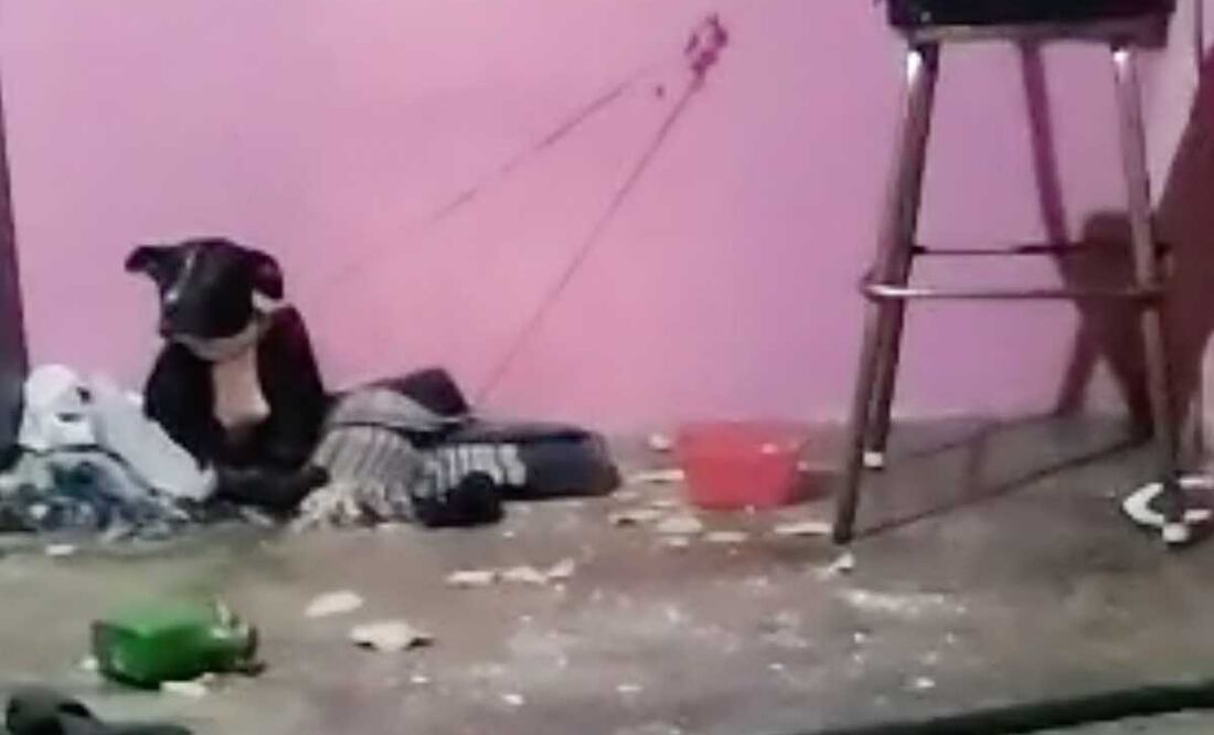 Foto: Captura de Pantalla