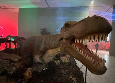 TIERRA DE DINOSAURIOS