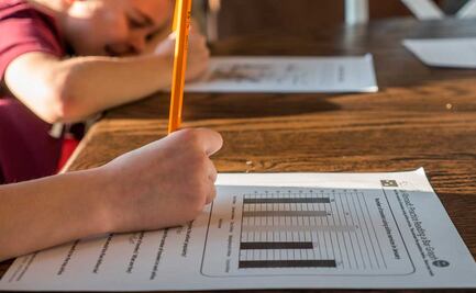 Boletas y certificados Puebla: ya se pueden descargar gratis en página de la SEP