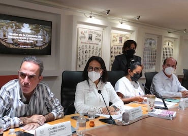 Nadie tiene interés en sustituir a comisionada de Transparencia