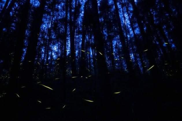 Foto: Eco-Parque