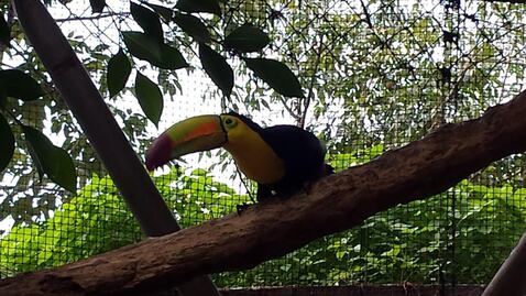 La historia del aviario que fracasó y se convirtió en Arboterra