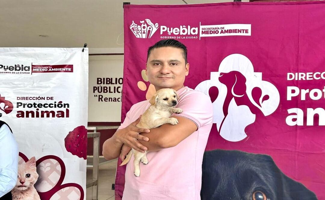 Se ofrecieron servicios gratuitos de vacunación antirrábica, esterilización y consulta veterinaria | Foto: Ayuntamiento de Puebla