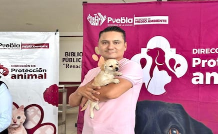 Prioriza Gobierno de la Ciudad acciones en favor del bienestar animal