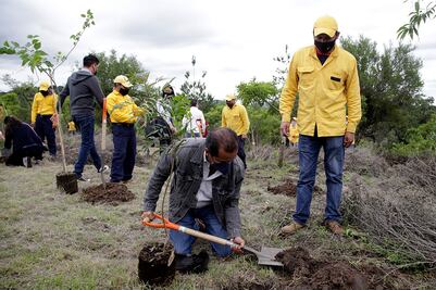 Con 22 millones de árboles buscan reforestar Puebla