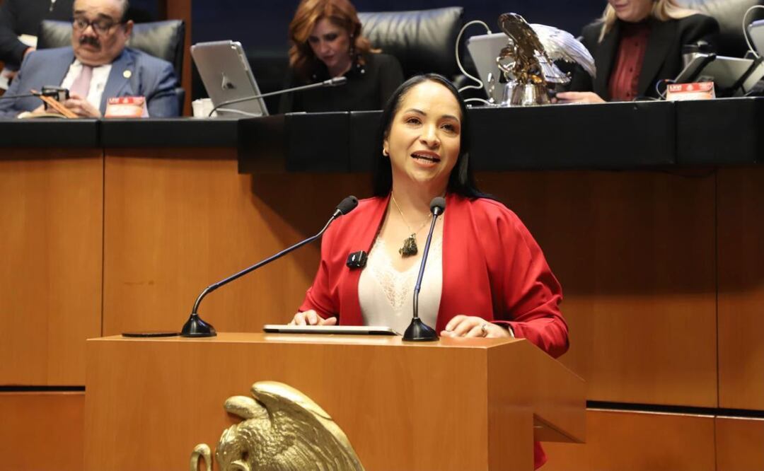 Nueva reforma pone un alto a cobros automáticos y suscripciones engañosas: Liz Sánchez | Foto: Senado de la República.
