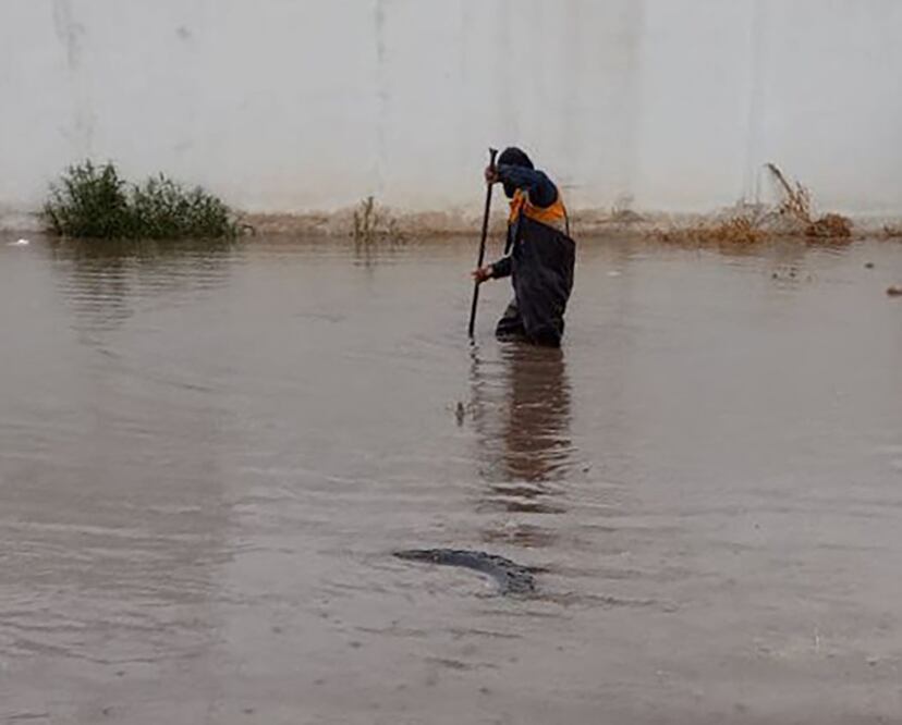 Foto: Liliana Alcántara