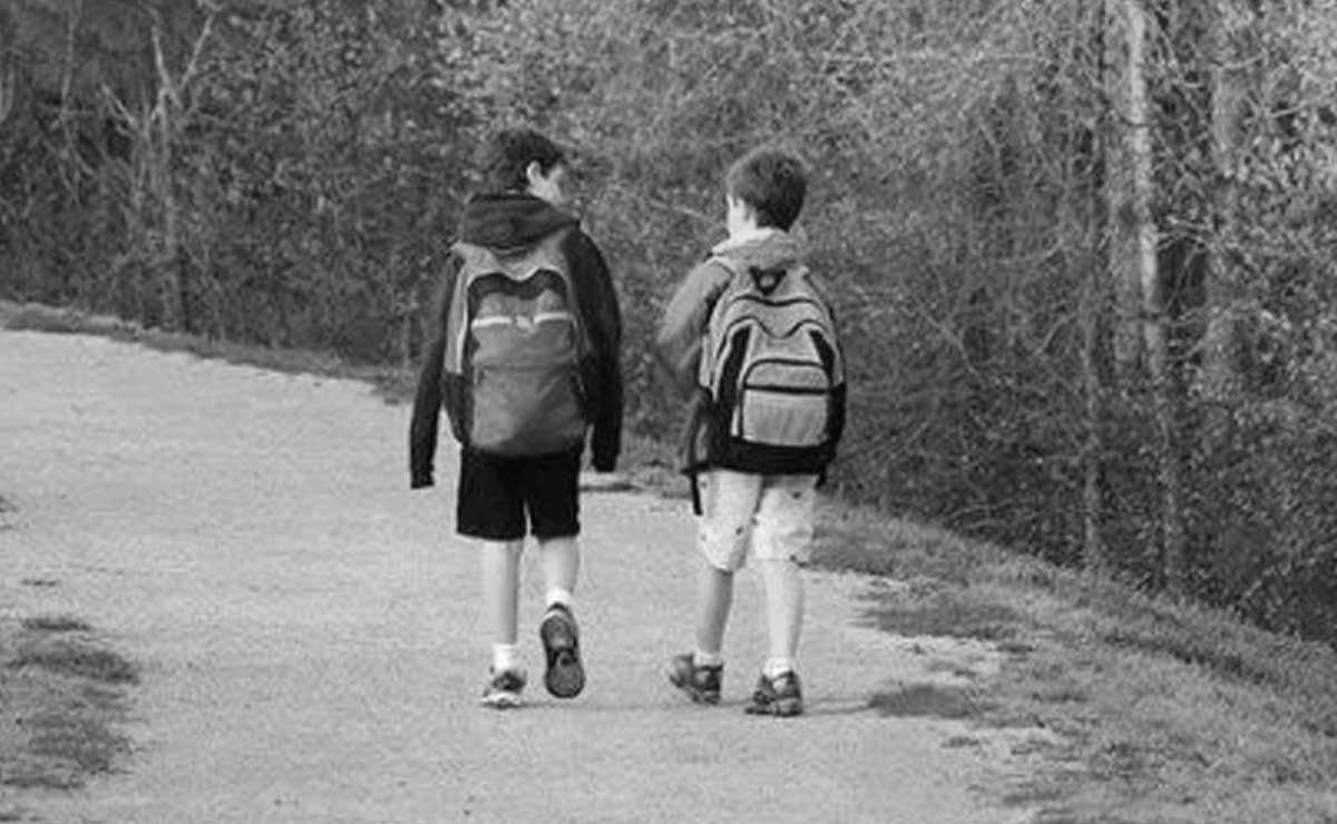¿Cuánto tiempo se hace caminando a una escuela o a un hospital en Puebla?