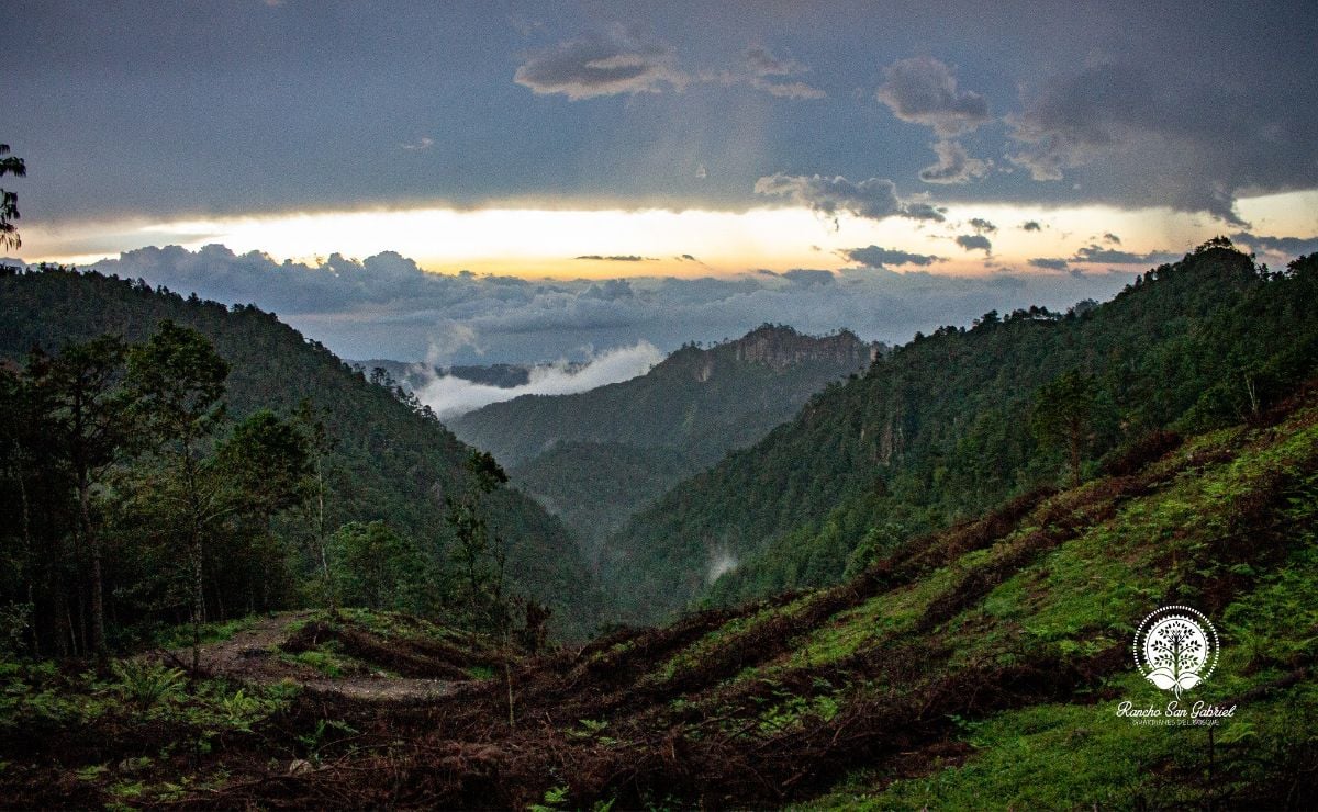 Este parque con puente tibetano se ubica en Zacapoaxtla. | Foto: Facebook Rancho San Gabriel