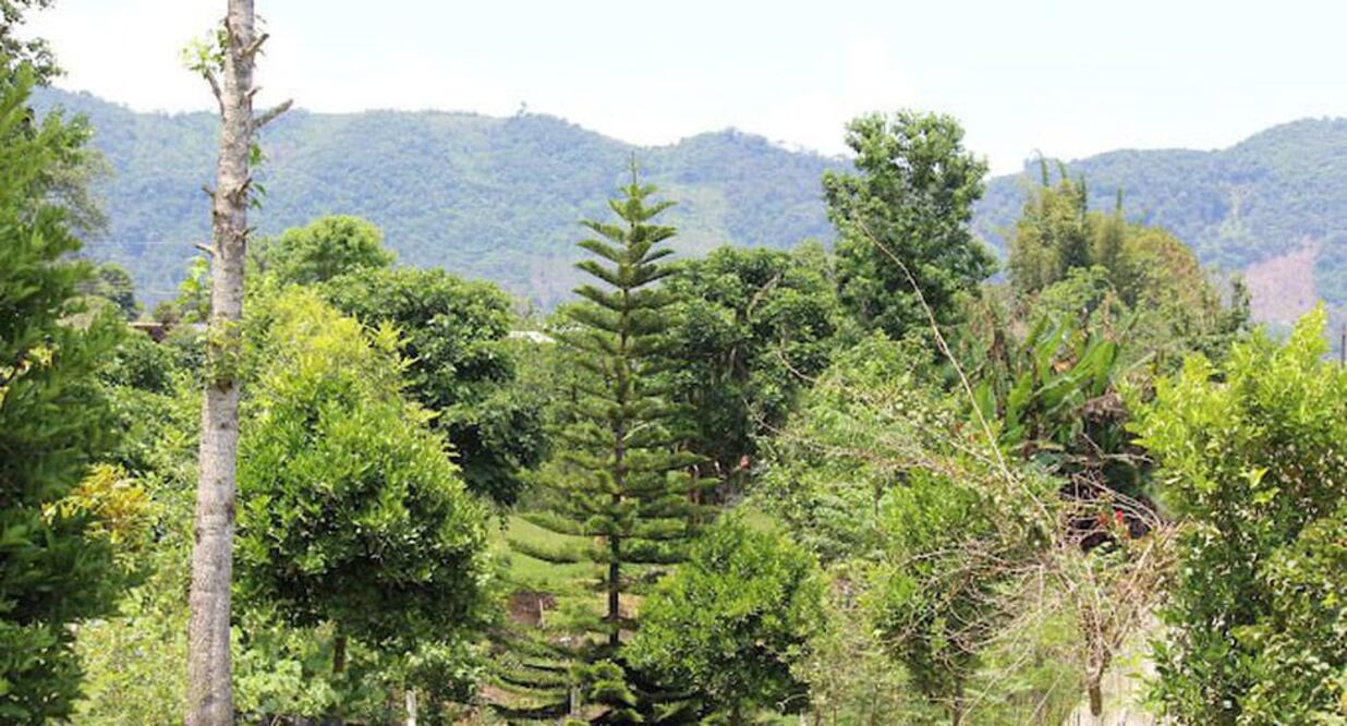 El Parque Nacional Carmen Serdán está protegida por el gobierno federal | Google / William Payne