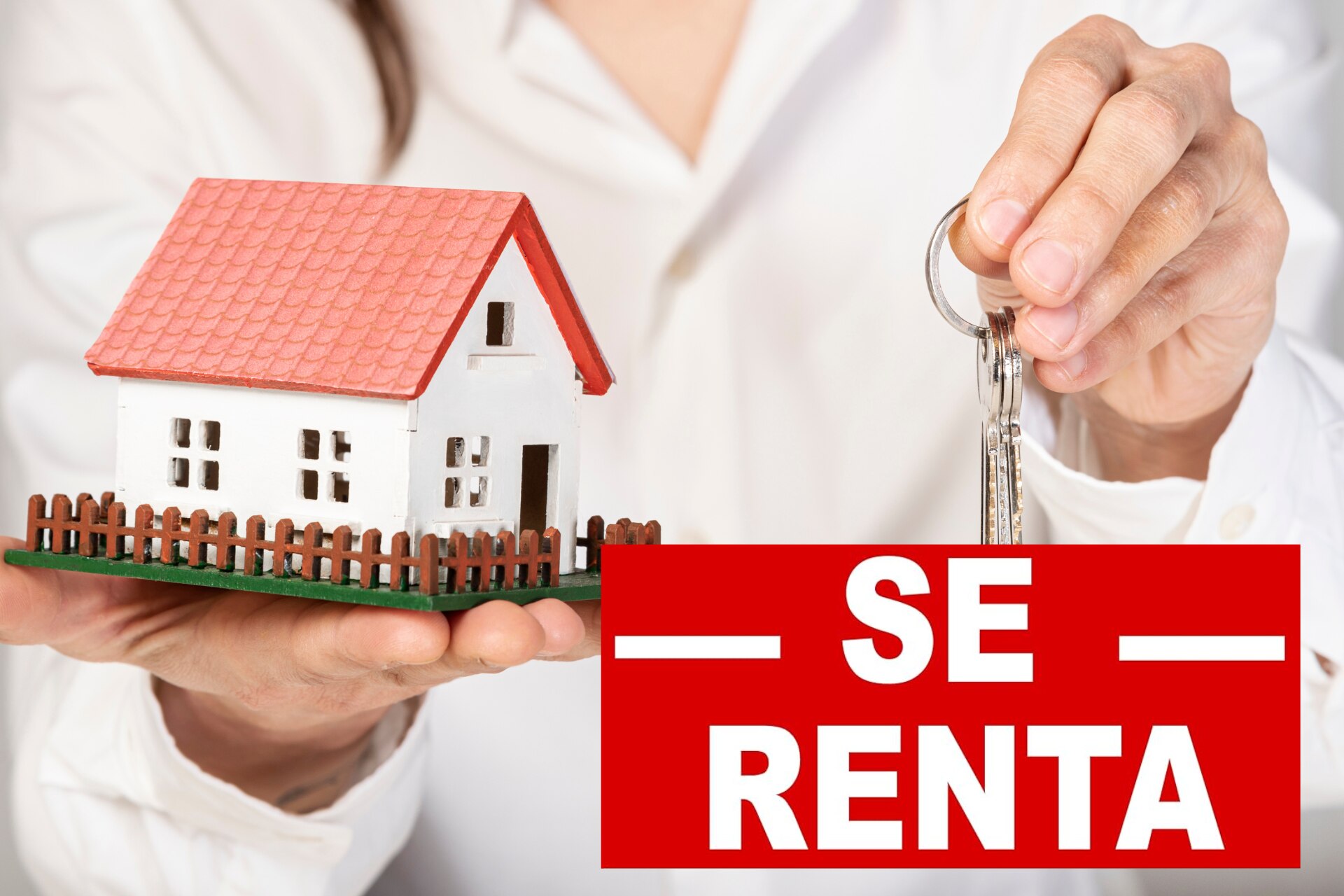 La IA recomienda dónde rentar en Puebla | Foto: Freepik