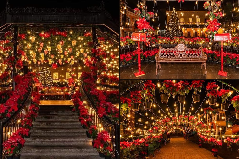 La Suiza poblana es un lugar especial para celebrar la Navidad | Foto: Redes Sociales