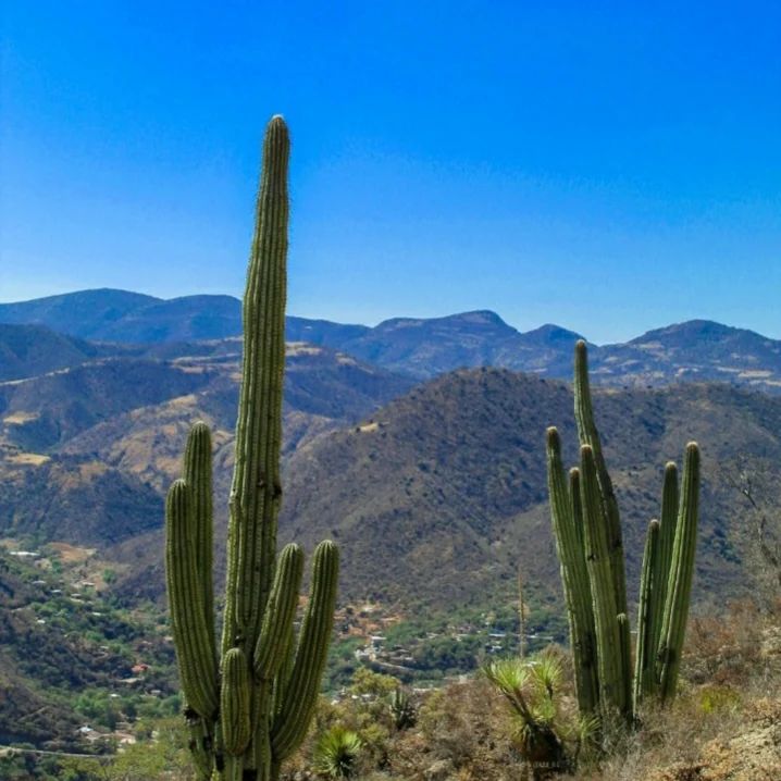 Los amantes del senderismo no pueden perderse el paraíso oculto que guarda Caltepec | Foto: Instagram caltepec_historia / ltzi_61_