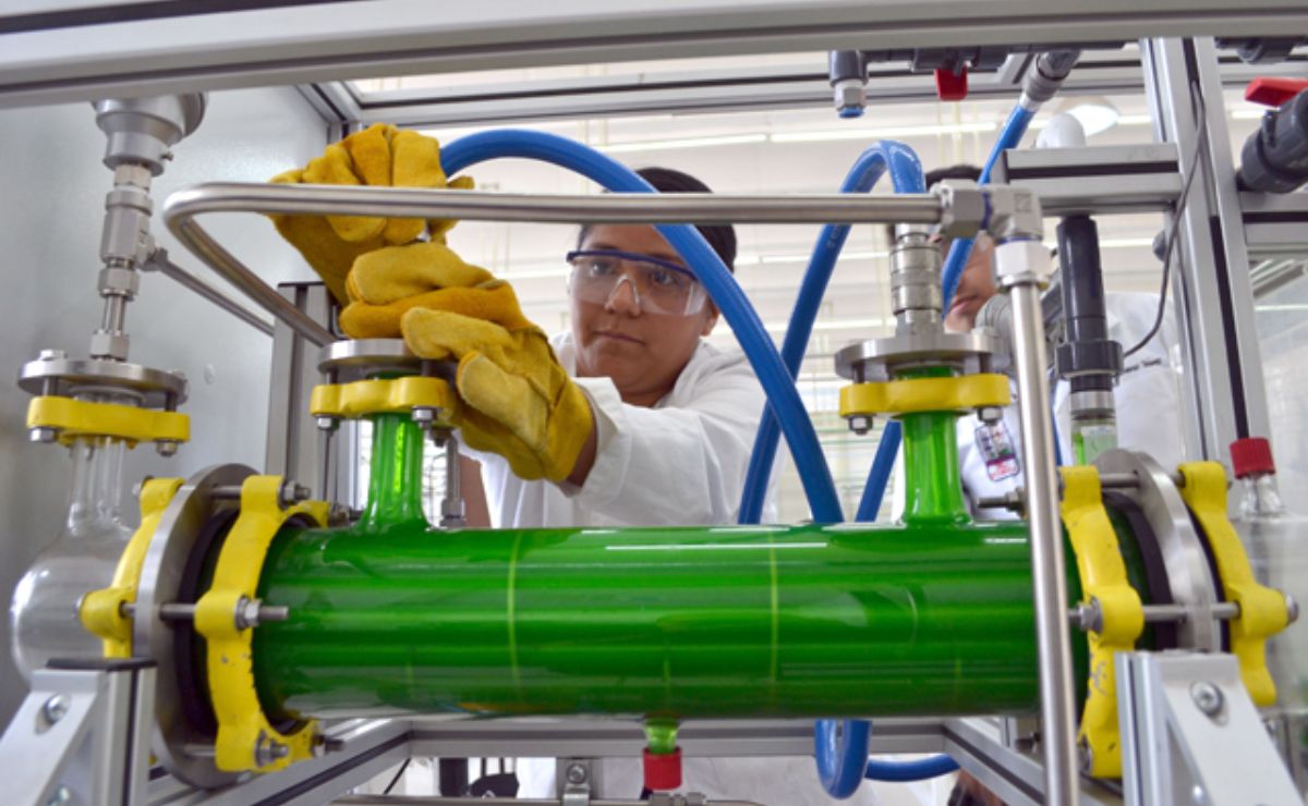 La BUAP se encuentra entre las mejores universidades de México