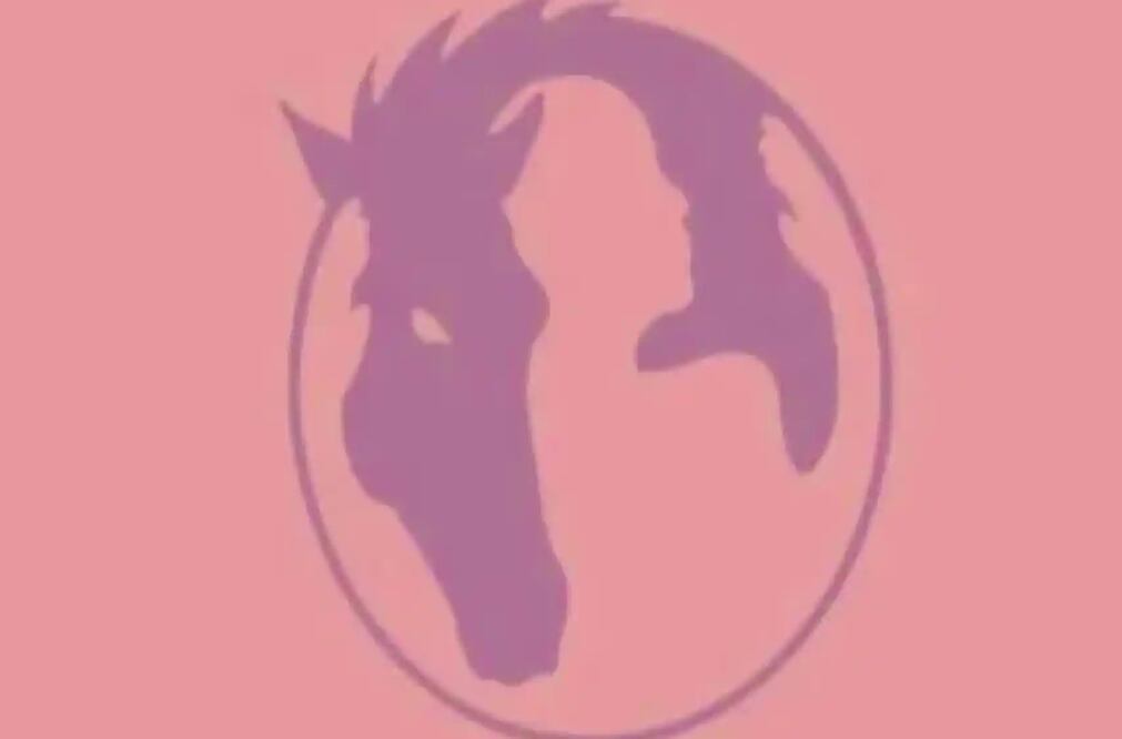 En la imagen se puede apreciar una serie de figuras, recuerda que debes prestar atención a los detalles. 

Foto: Producción El Universal