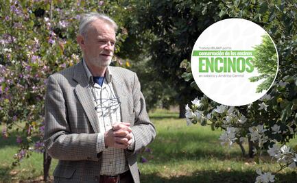 BUAP presenta guía para cultivar y conservar los encinos en México