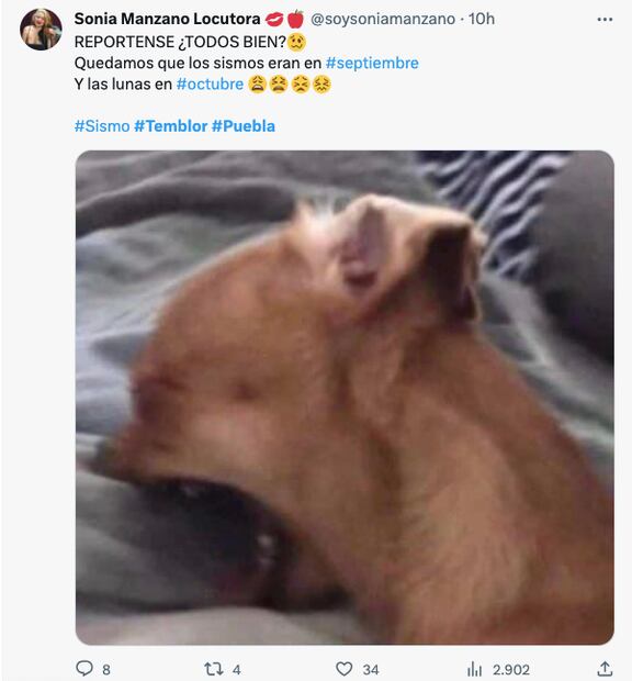 Foto: Redes Sociales