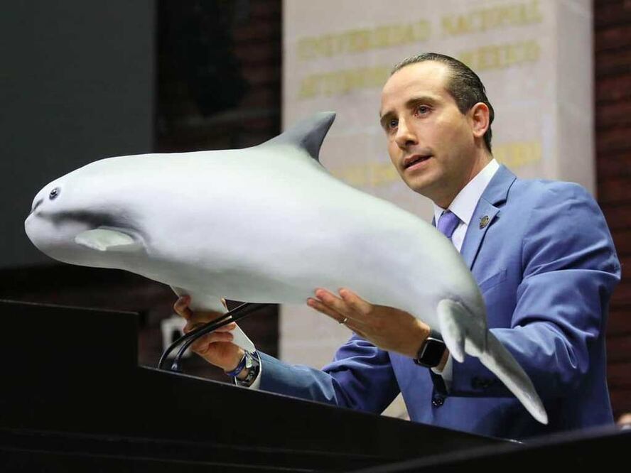 Foto: Redes Sociales