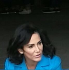 Desechan amparo que promovió Lydia Cacho contra exoneración de Kamel Nacif