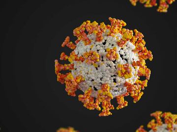 Flurona ¿qué es y dónde está presente?