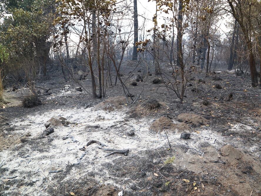 Foto: Agencia Enfoque para El Universal Puebla