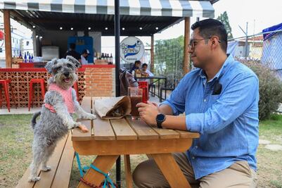 Estos son los mejores lugares pet friendly de Puebla