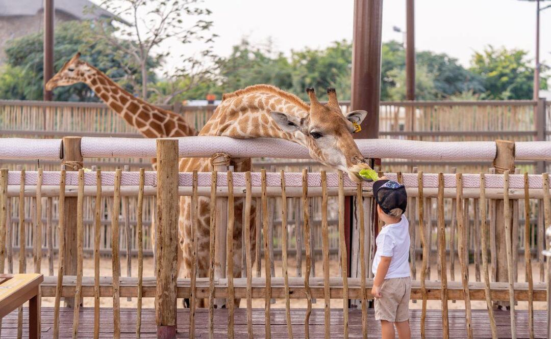 Existen varios zoológicos y santuarios en Puebla / Foto: Canva