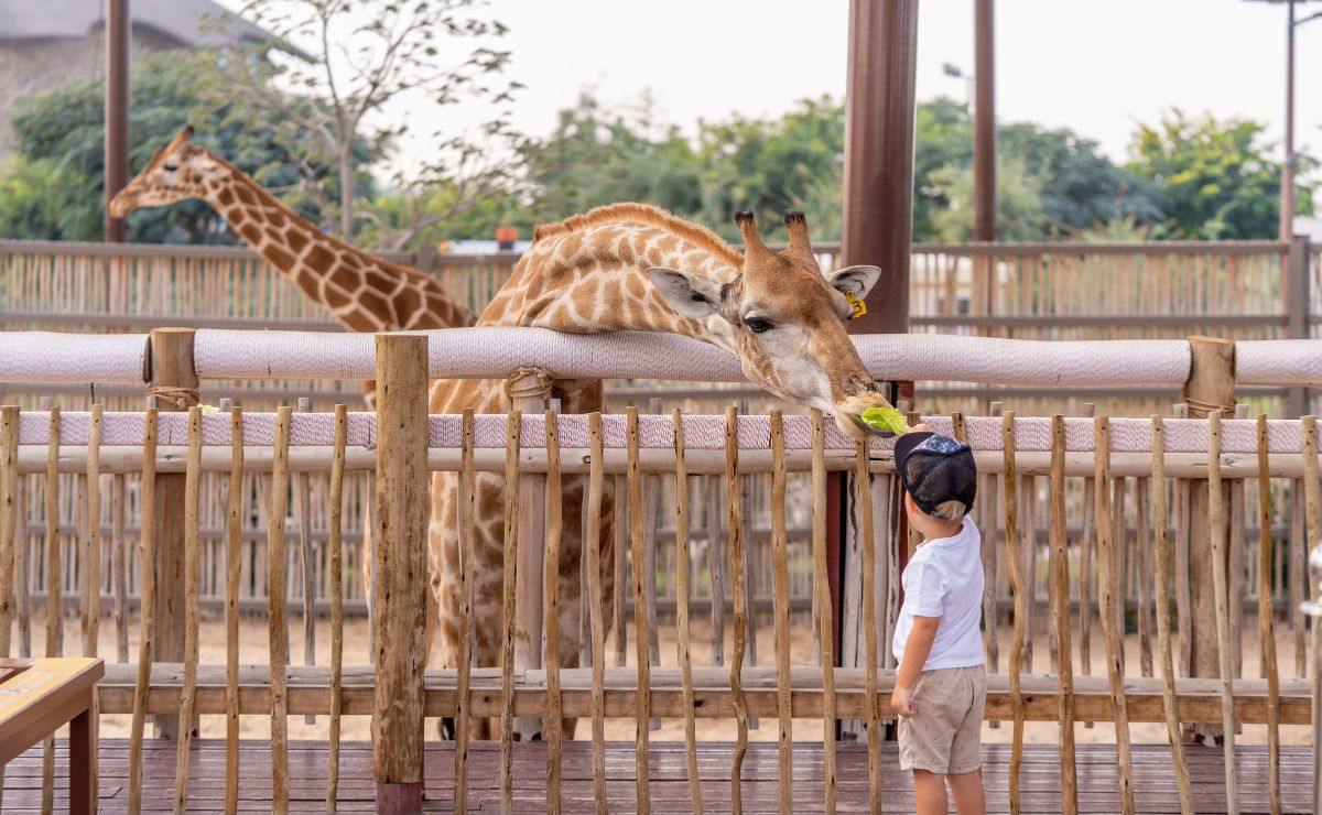 Existen varios zoológicos y santuarios en Puebla / Foto: Canva