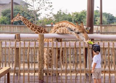 Estos son los zoológicos más bonitos en Puebla y cerca de la ciudad