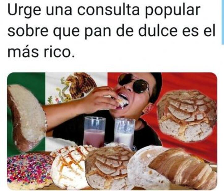 Los mejores memes de la Consulta Popular