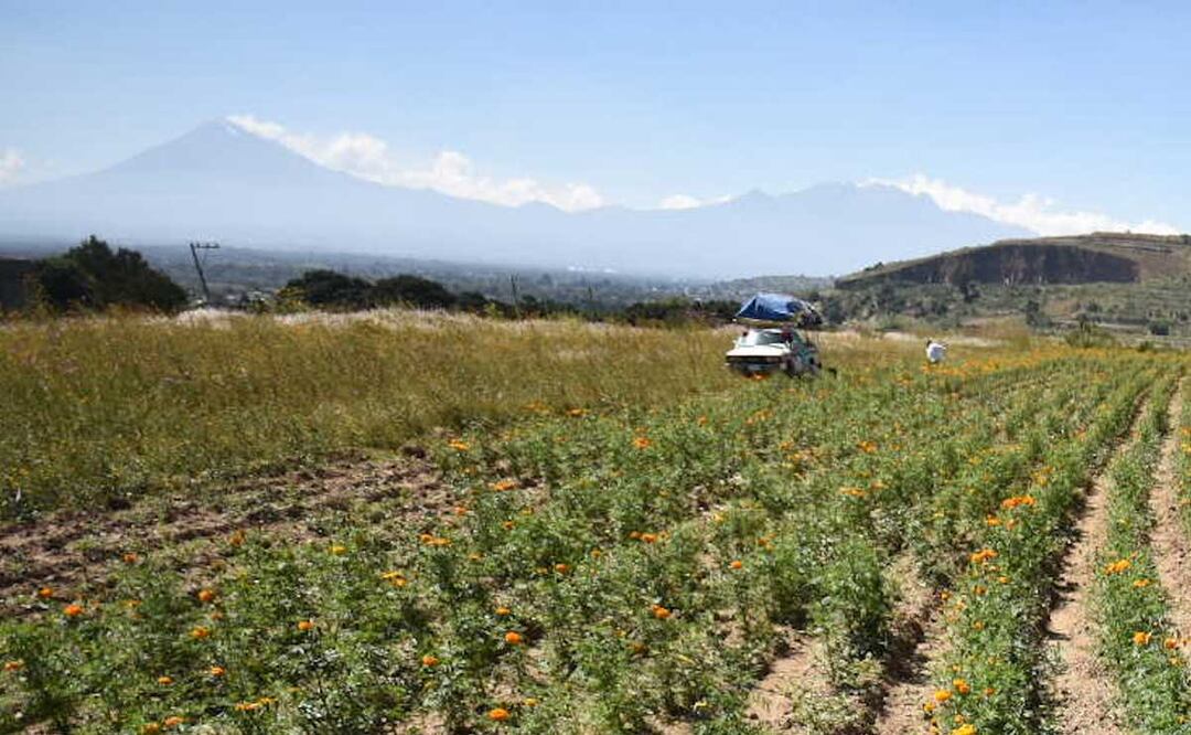 Foto: Agencia Es Imagen para El Universal Puebla