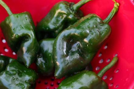 Los 5 tipos de chile que más consumen los poblanos