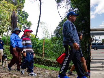 ¿Cuántos pasos se deben dar al día para estar sano?