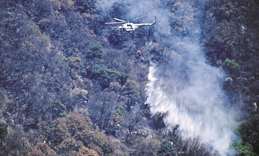 El incendio en el Tepozteco, presuntamente provocado por una persona, consumió 115 hectáreas de árboles, de acuerdo con la Coordinación de Protección Civil. Foto: AFP