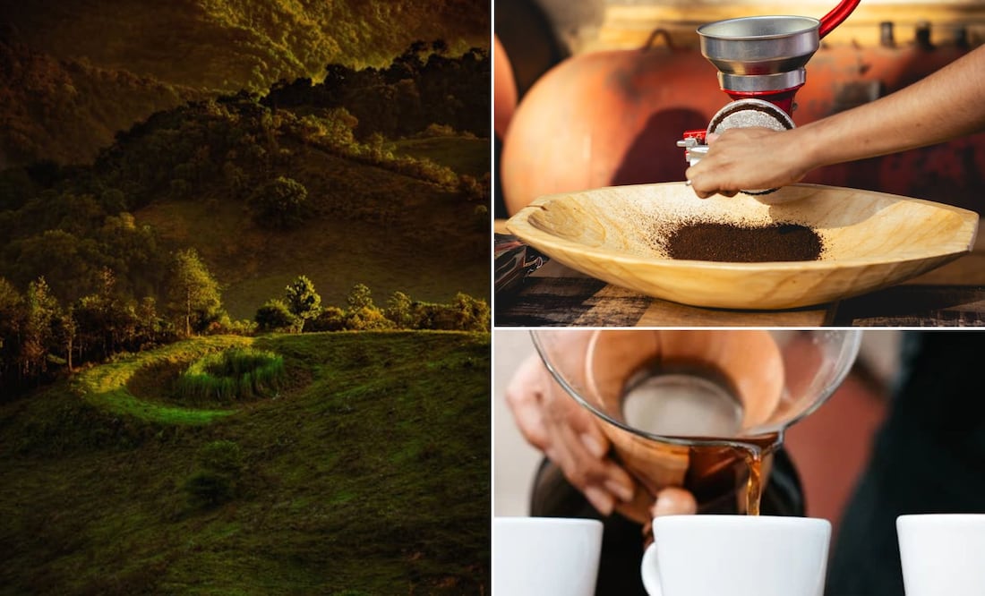 El estado de Puebla se distingue por su café | Foto: Pexels