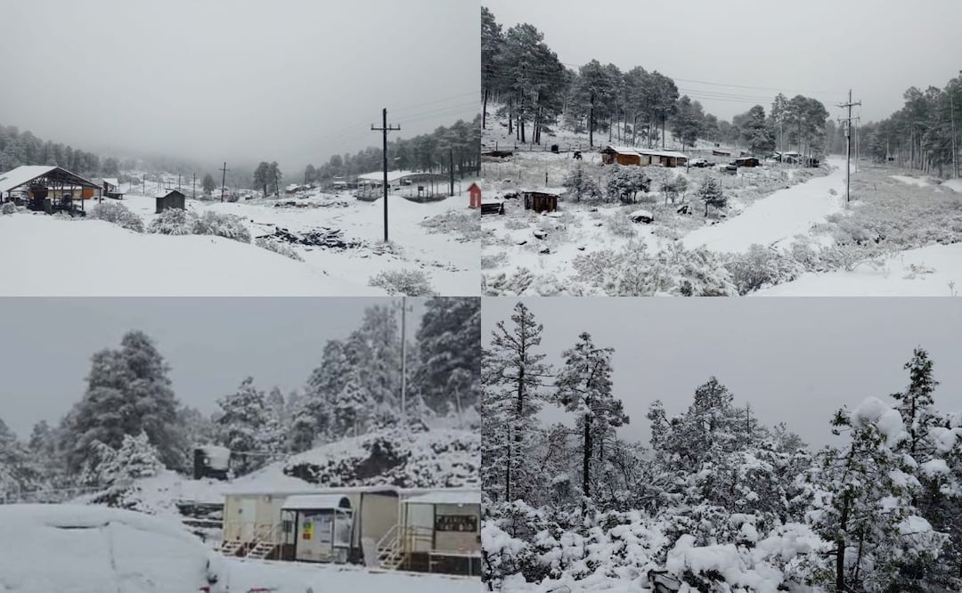 Foto: RRSS.       La "congeladora de México" luce repleta de nieve tras la tormenta invernal