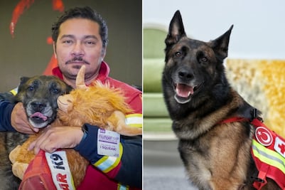Rex, perro rescatista de la Cruz Roja Puebla, se retira tras 9 años de servicio