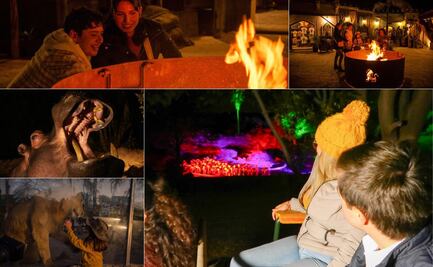 Cuánto cuesta el Safari nocturno Moon Safari en Puebla