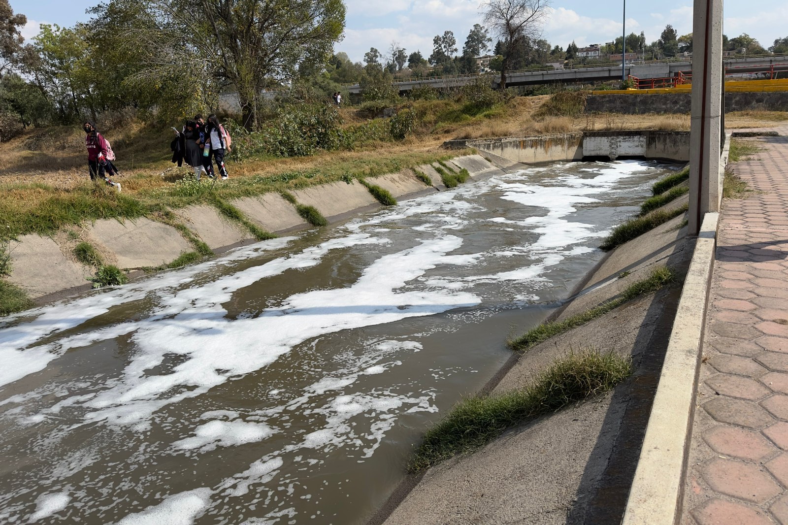 En los 84 municipios por donde atraviesa el río Atoyac los tóxicos han dejado una estela de muerte | EsImagen para El Universal Puebla