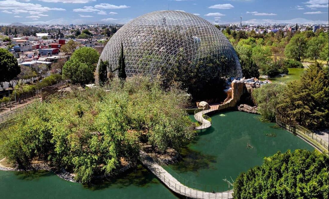 El Parque Ecológico de Puebla brinda muchas opciones de diversión | Foto: Arboterra