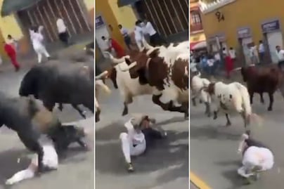 VIDEO Toro embiste a turista estadounidense durante encierro estilo Pamplona en Huamantla