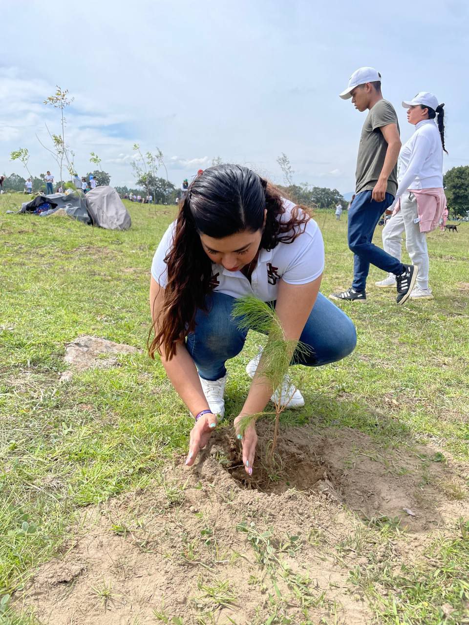Una comisión del Congreso de Puebla, encabezada por la diputada Xel Hernández realizó jornada de reforestación | Congreso de Puebla
